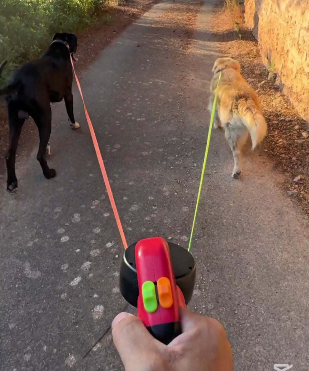 Comfy™Çift Köpek Gezdirme Tasması – Fenerli,Dolanmaz, Dayanıklı, Konforlu